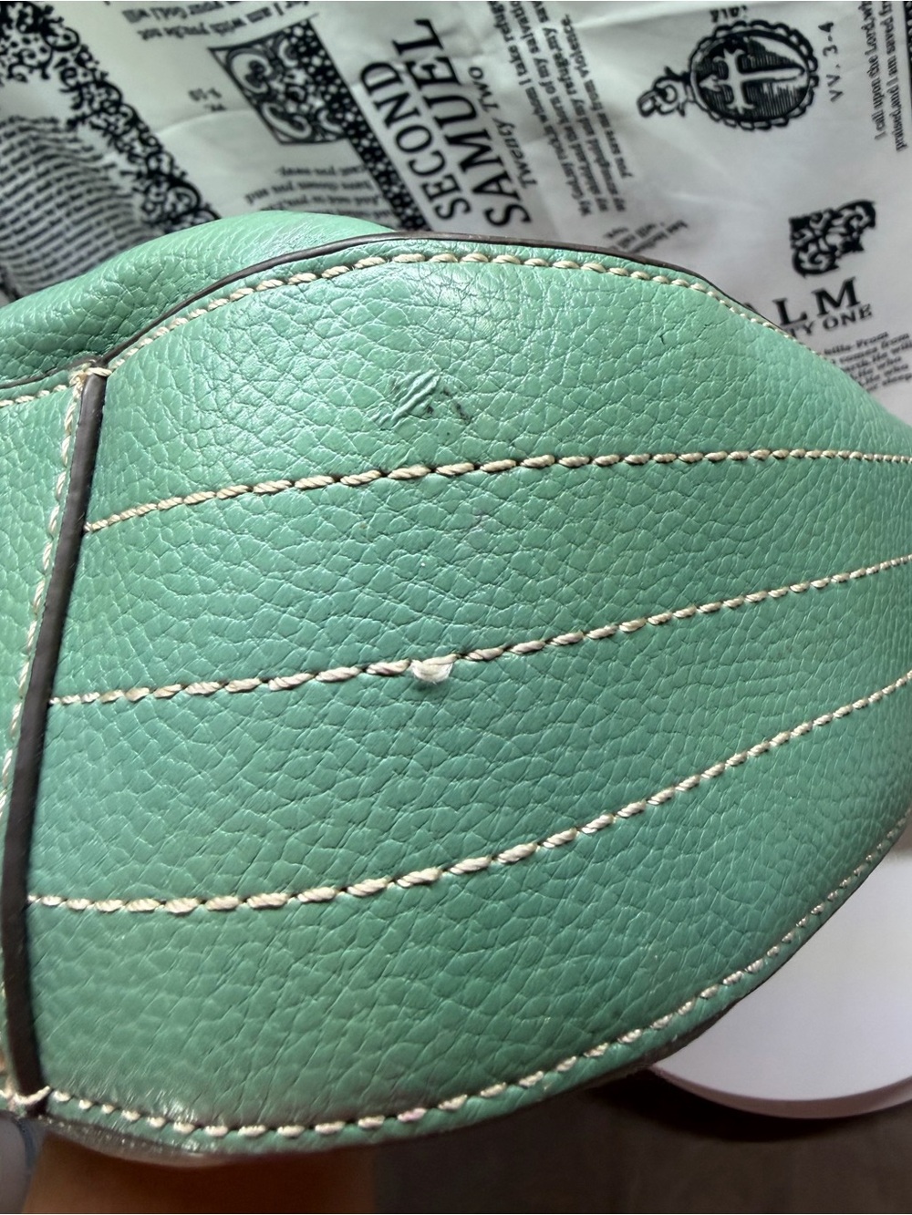 Chala Sweet Hobo Shoulder Bag in Mint Green with Dog Coin Purse - Picture 8 of 14
